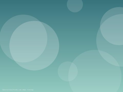 WordPress developer available for projects - available immediately